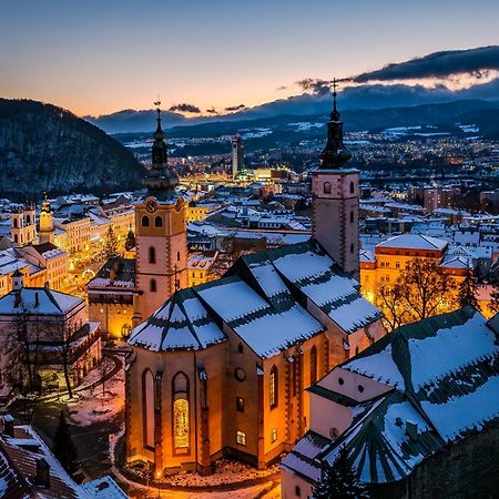 Komfortny Apartman So Zahradou A Sukromnym Parkoviskom-Nonstop Check-In Banská Bystrica Exterior foto
