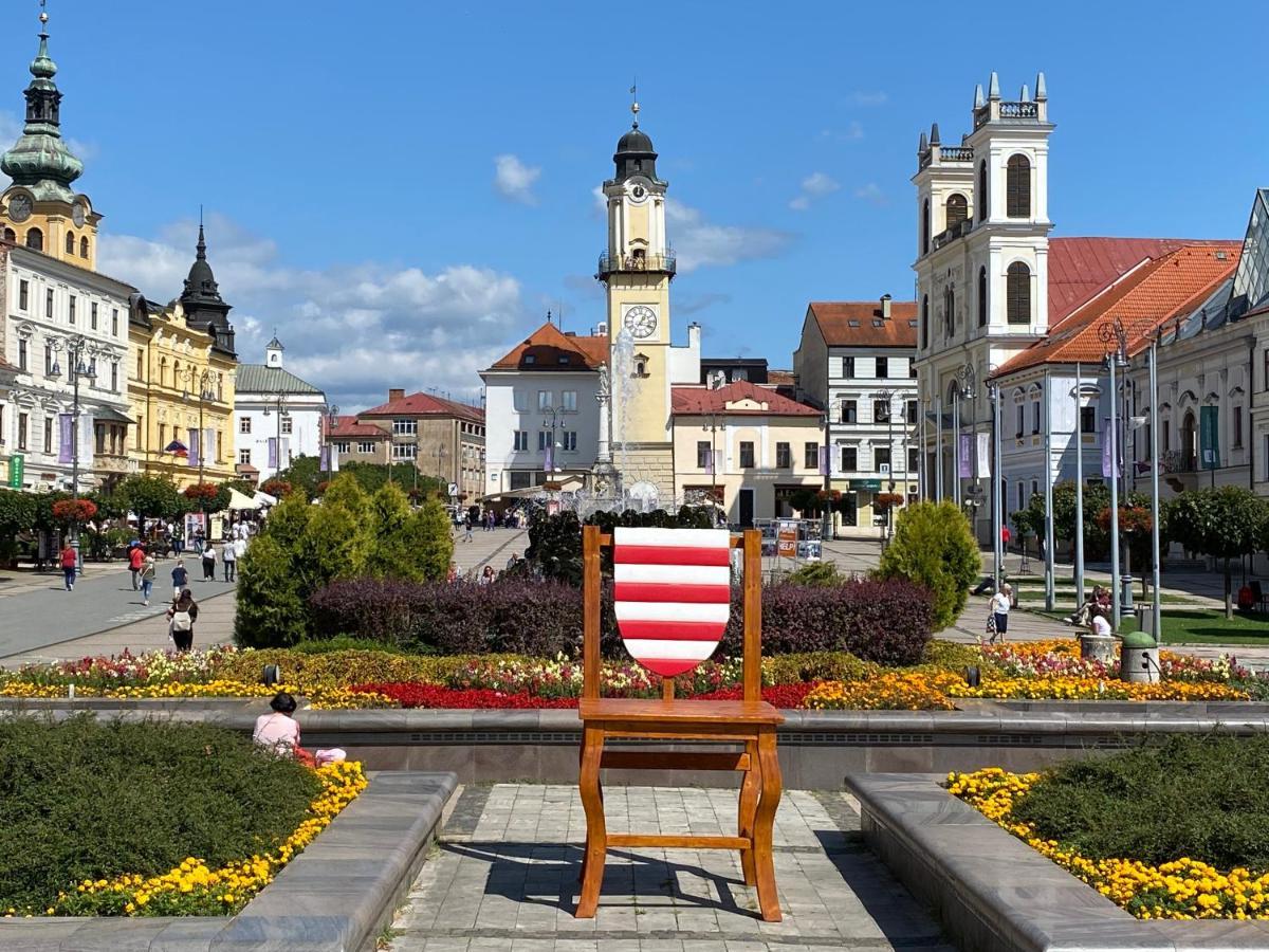 Komfortny Apartman So Zahradou A Sukromnym Parkoviskom-Nonstop Check-In Banská Bystrica Exterior foto